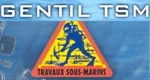 GENTIL TSM, logo, Les entreprises, La Teste-de-Buch
